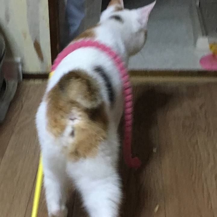 2fa10910 71ae 4d42 b9fc c6a5611904a4