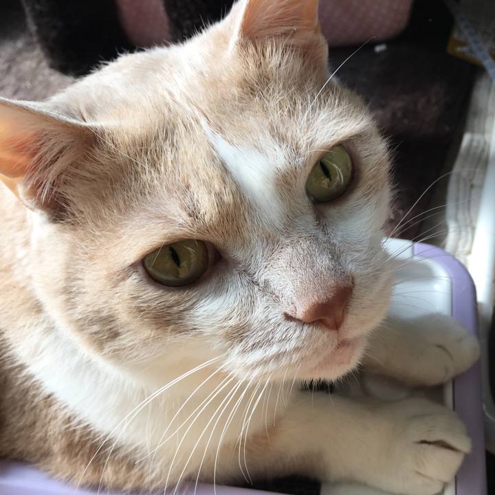 2fa1553b e60f 4a67 a1db f7ff5fc06021