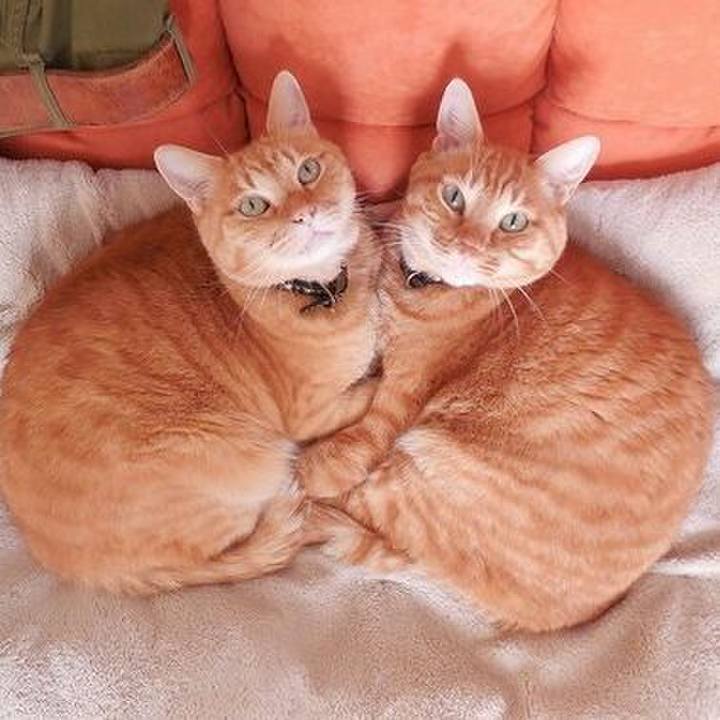 2fa17dc7 9349 43b7 8505 10f855bcc9b7