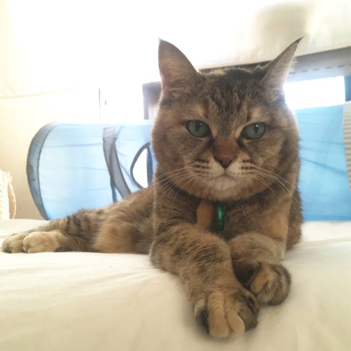 2fa1fe02 e18c 4871 bf31 65c8641ed687