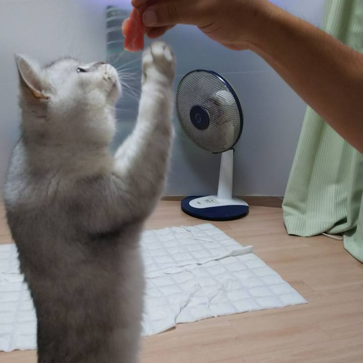 2fa240ee 4ee7 4d73 8416 db8938a5b107