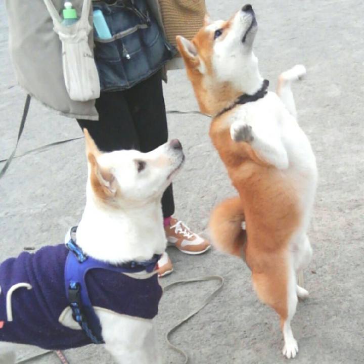 2fa24ede 7f12 417e 9ed7 774ec10d62ef