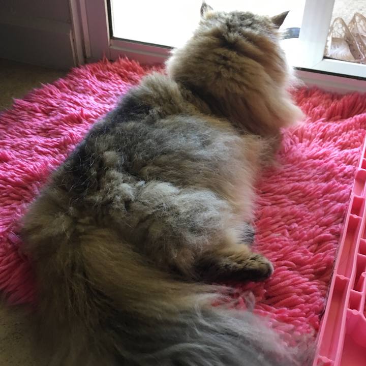 2fa39445 5ac7 46f7 a4a7 d291f88c6603