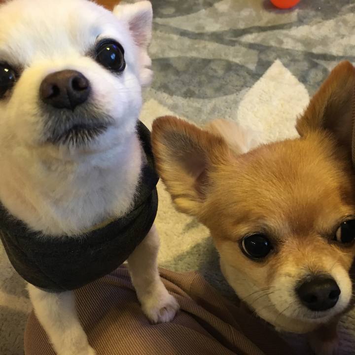 2fa39f53 29a8 421e 9b13 2342835bf148