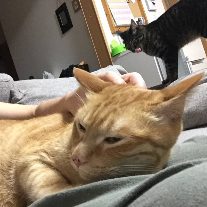 2fa4278c e5bf 45cb 81d5 0612cb009209