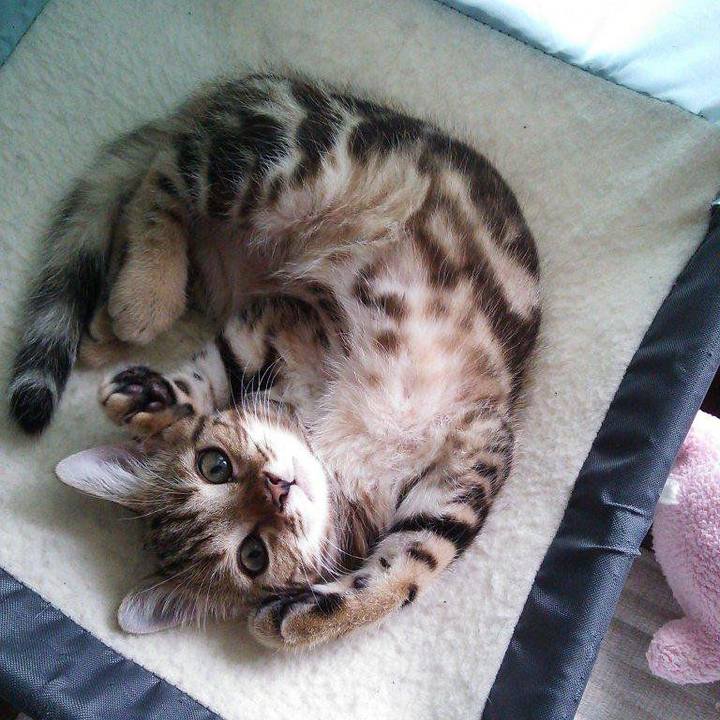 2fa4b15c d3cc 49e3 bb73 ade5b654d04d