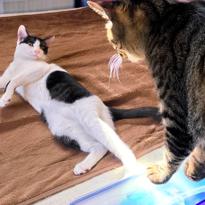 2fa60204 e83e 4035 a611 cf33c86d134d