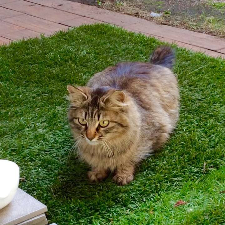 2fa653d9 9697 4f83 b2a6 9771d7ca5c9c