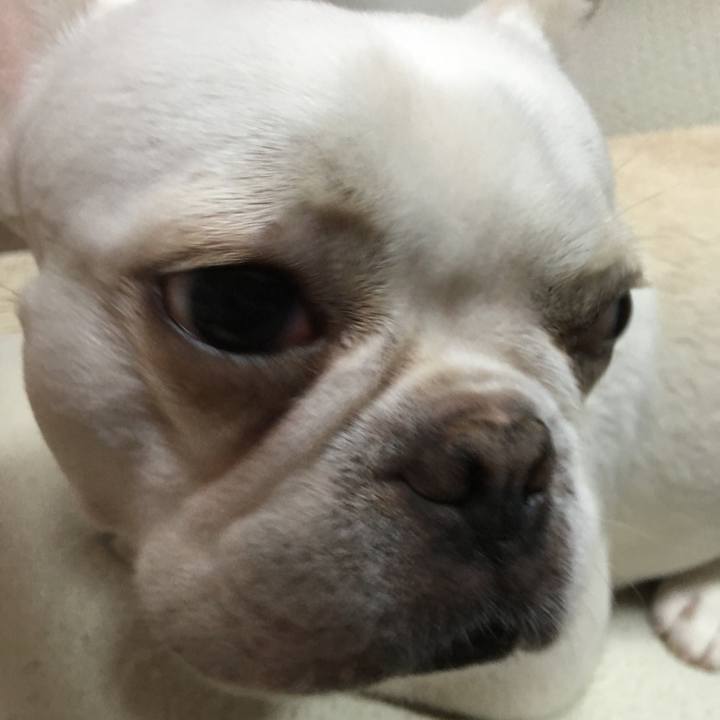 2fa68c68 ae6c 4479 8228 73c717ac2874