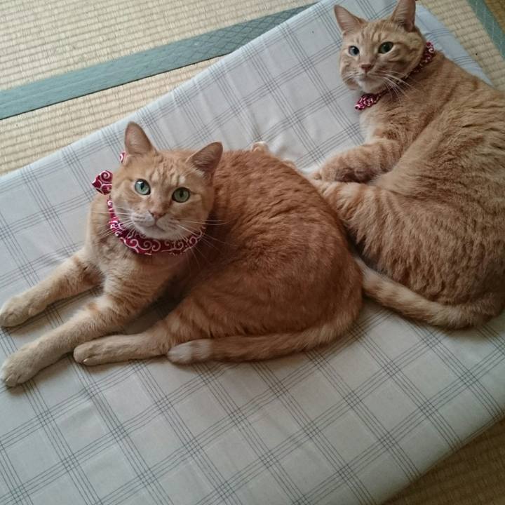 2fa6a866 0ef8 4076 b219 911d667c93ac