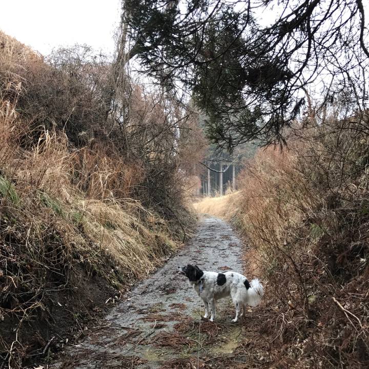 2fa6d066 f396 4b62 b556 64b6cb5e2f4a