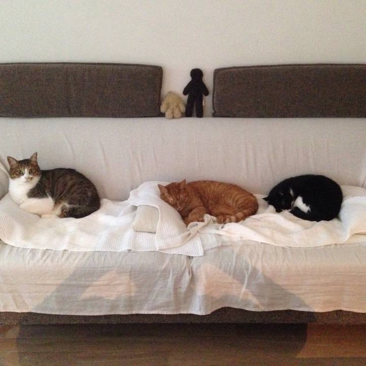 2fa936df 399f 48b3 972b 354a4d8df5f8