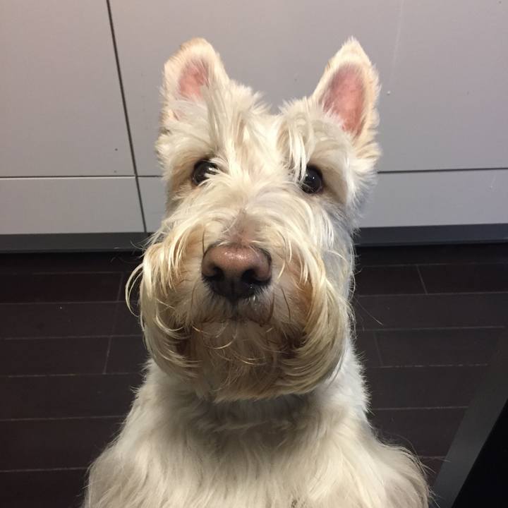 2faaaa36 7127 48a6 978c 2bf2b215d54a