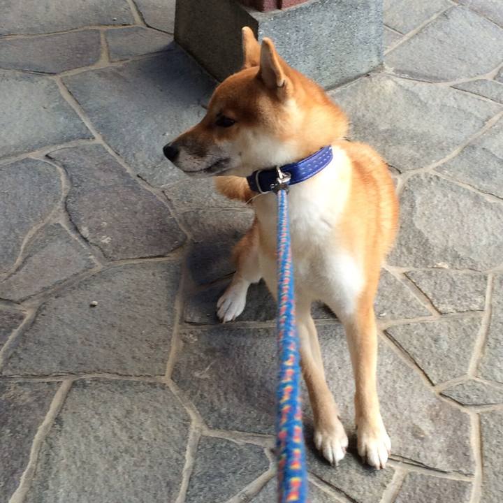 2fab1d82 093e 4f7b a1d4 14357deeb17d