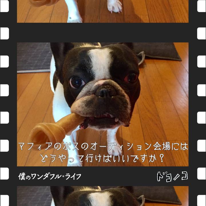 2fab5580 828a 4a85 bf7a b86238386cad