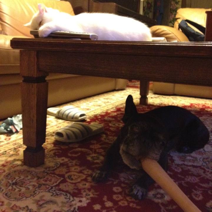 2fab6626 c3e4 4621 8b85 e558ae247acd