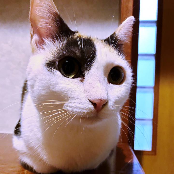 2faba6bc e940 4cce 8f0f 3840a5264534