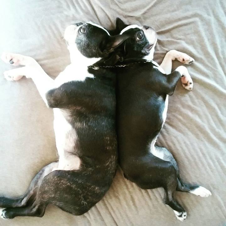 2facb1c5 254f 44dd b446 f3cc2182de1b