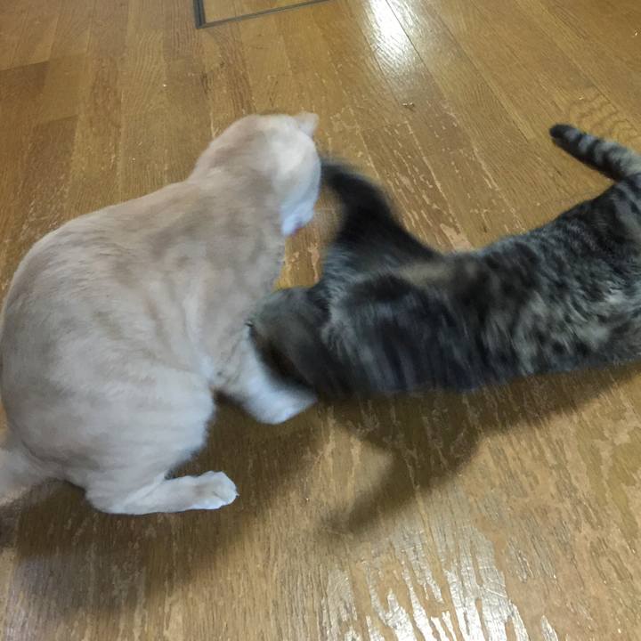 2fad4a08 d9e6 4f51 954a 3de452c1f993