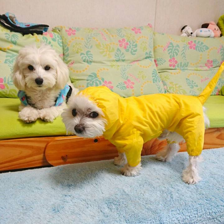 2fad53cb 8d86 4222 ab68 b41b6f549a0b