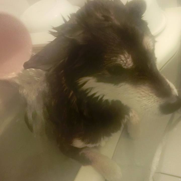 2fad87e7 eb38 455a 91b2 b225ec546459