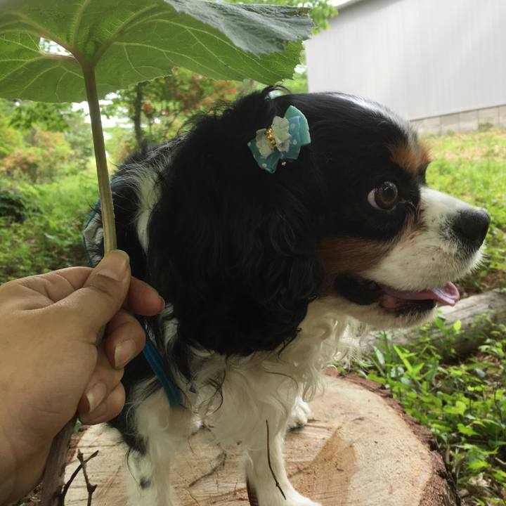 2fad9983 ad74 4b25 b863 de9ce5e11424