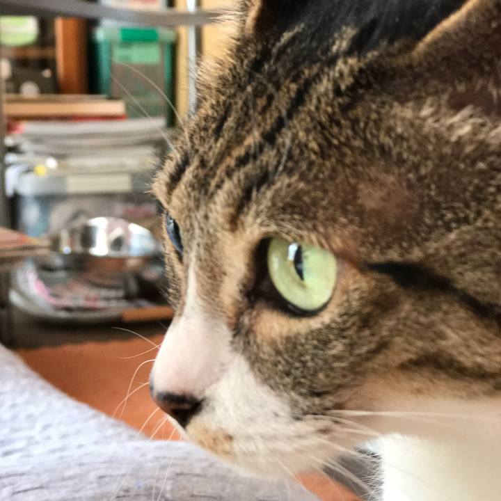 2fadeec9 93d7 4d64 89f4 eb55d4fdf331