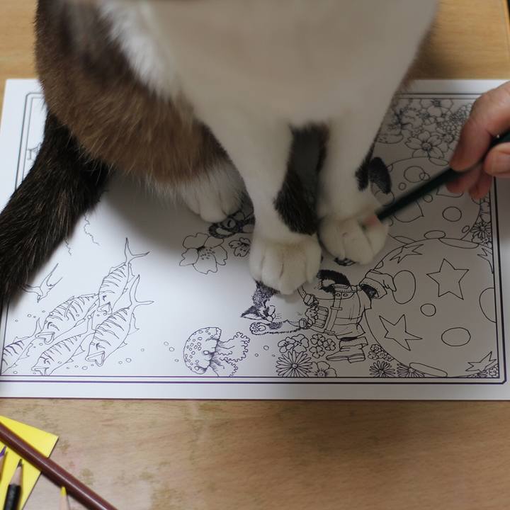 2fae308d 7ddf 404b 9d3d 0b601d334fcf