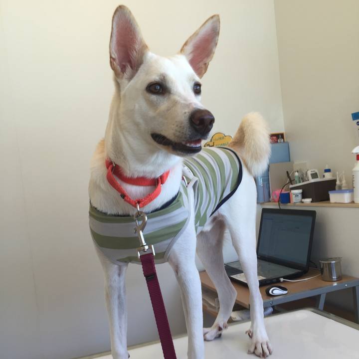 2fae5151 afd7 4810 a9c3 56a5e003eb81