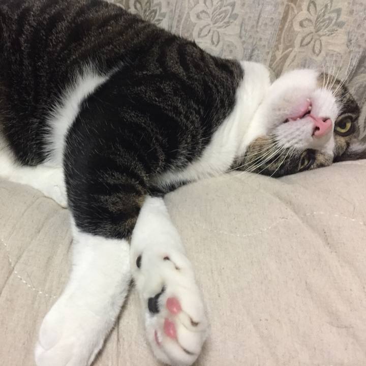 2fae572a e8d2 4c34 89ca dcbd4a1f5dc8