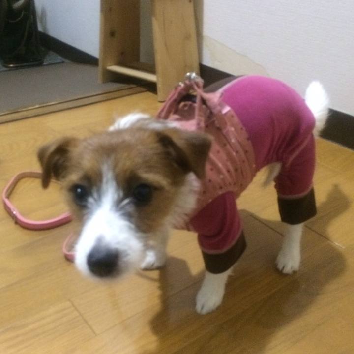 2faeb48b 9c65 4ece 9574 49dace4c18fe