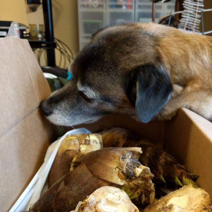 2faf45c1 ee9f 4c36 b756 36e30ca2e576