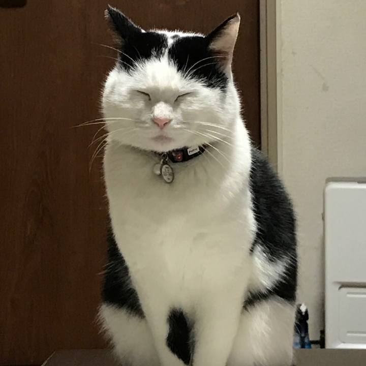 2faf8322 1eab 4f8b 90f3 f42584df43a3