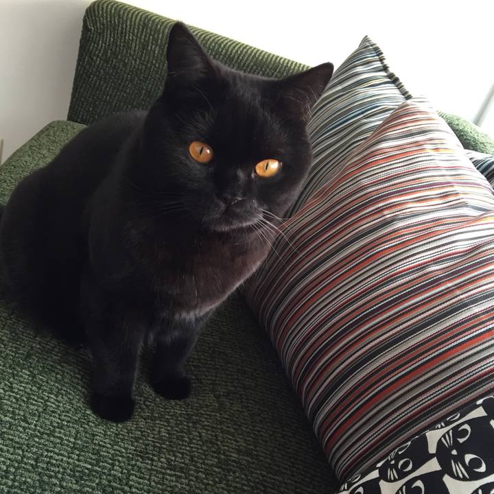 2faf9a7f 243d 401d 9aaf f9a9dc4772ac