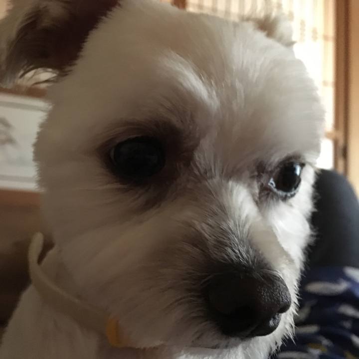 2fafa541 e364 4c2b 9f87 b2da48f454cb