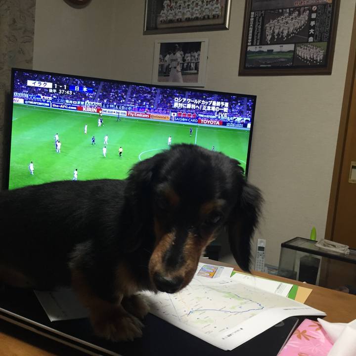 2fafec55 8732 4712 ac86 351f6af4c5e1