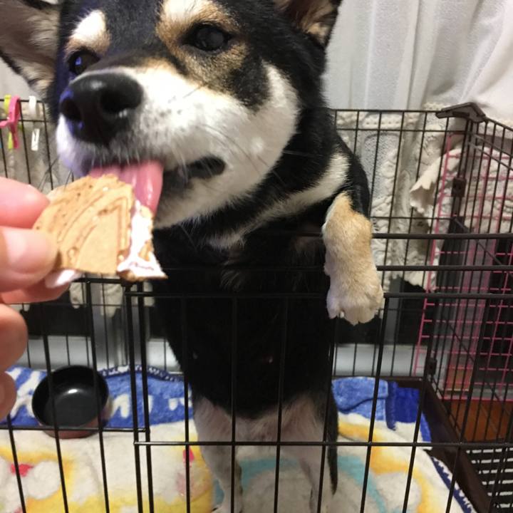 2fb16700 6d7d 4bb8 90aa 54b896169b6b