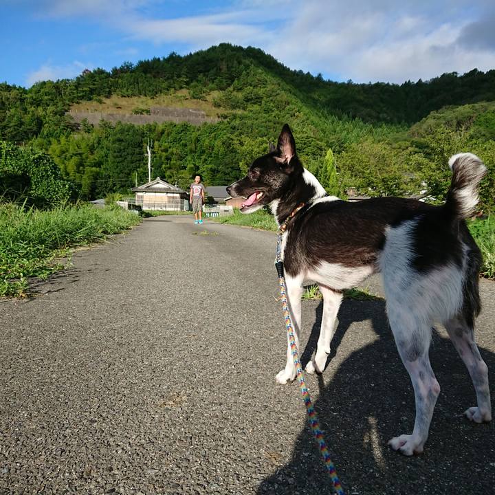 2fb1797e 640d 44d8 b5a2 dc6e904e0727