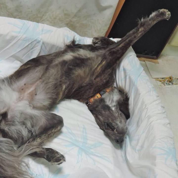 2fb206ff b77d 4d1c 934f fd4eb59d9581