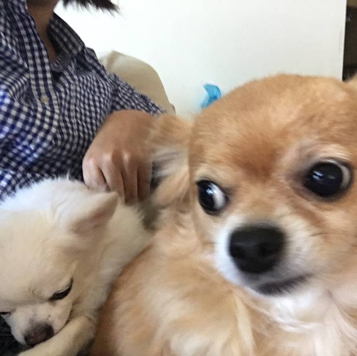 2fb39153 82ad 4f49 9e94 5d6360faad68