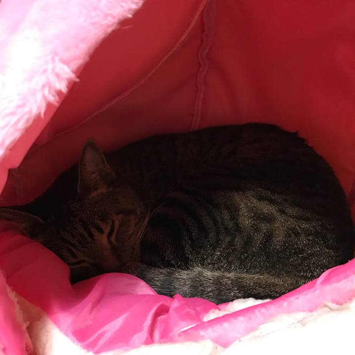 2fb45002 ff5e 48b5 8878 9a48486453fd