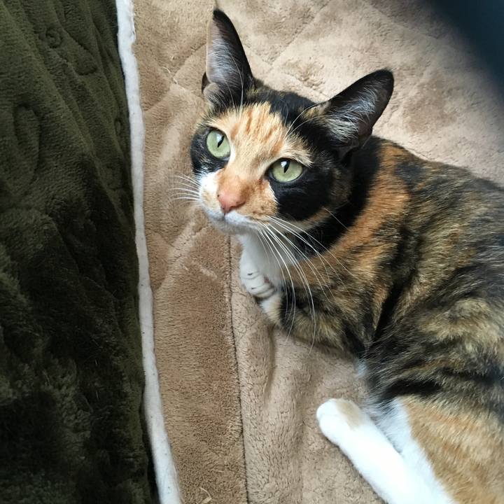 2fb508fd 4b6b 4a39 abb5 8a4fe0acce9f