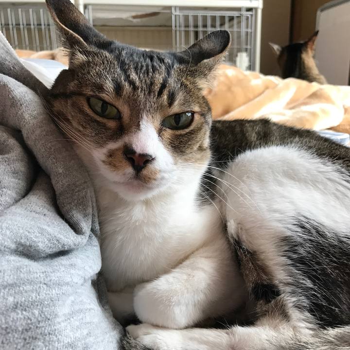 2fb50a77 021f 427f a675 8346ad50baff