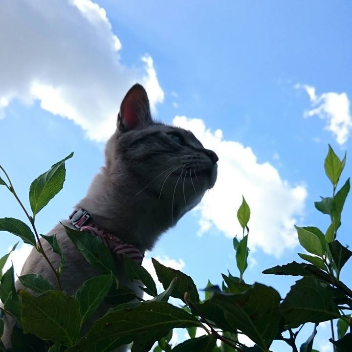 2fb50e08 48f5 4ded af4e b4689d36bb60