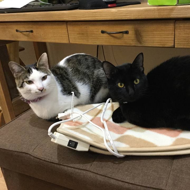 2fb591b2 c3e1 41d4 9d0b 727dd4e9d171