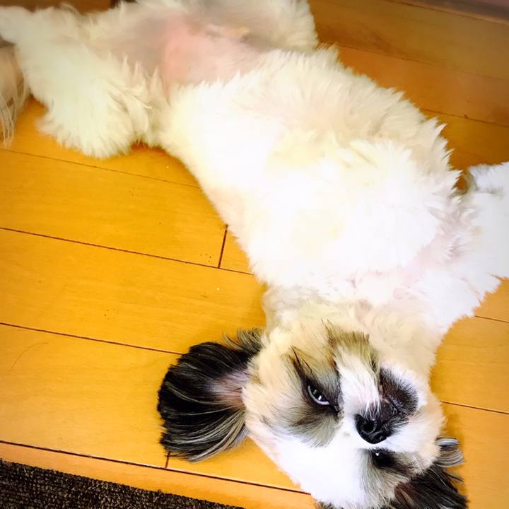 2fb5f431 8427 43df bf1d c8a5f5c39a25