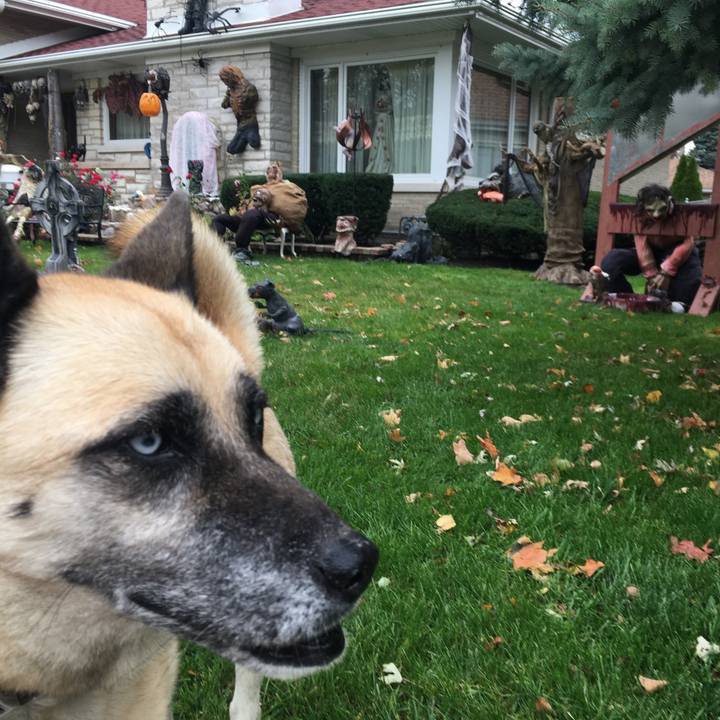 2fb65e57 bbc6 4df9 83f3 812571e338c2