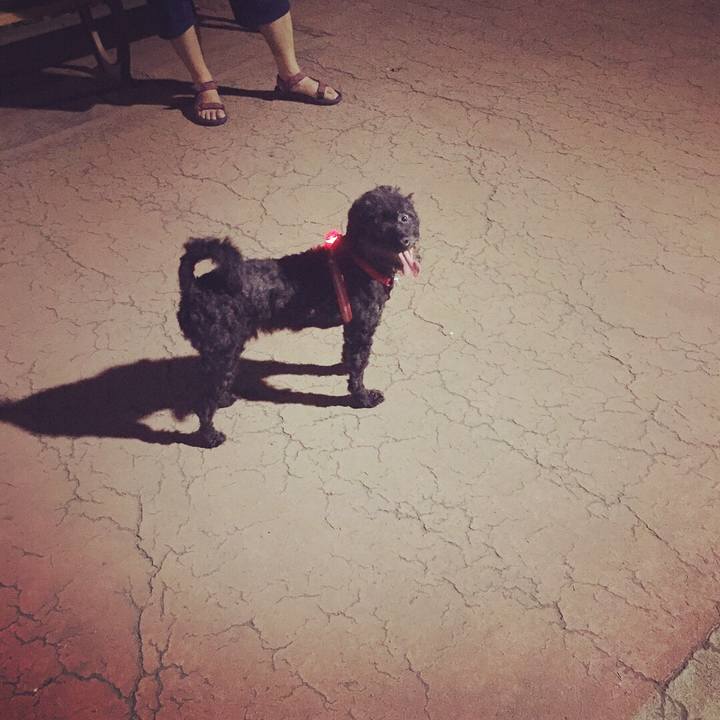 2fb6603d 7834 47b5 8e2d 140ecaaa1ab2