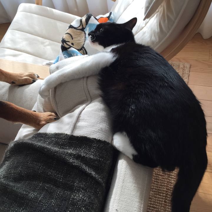 2fb71bec b852 4267 a45c 960301ae7203