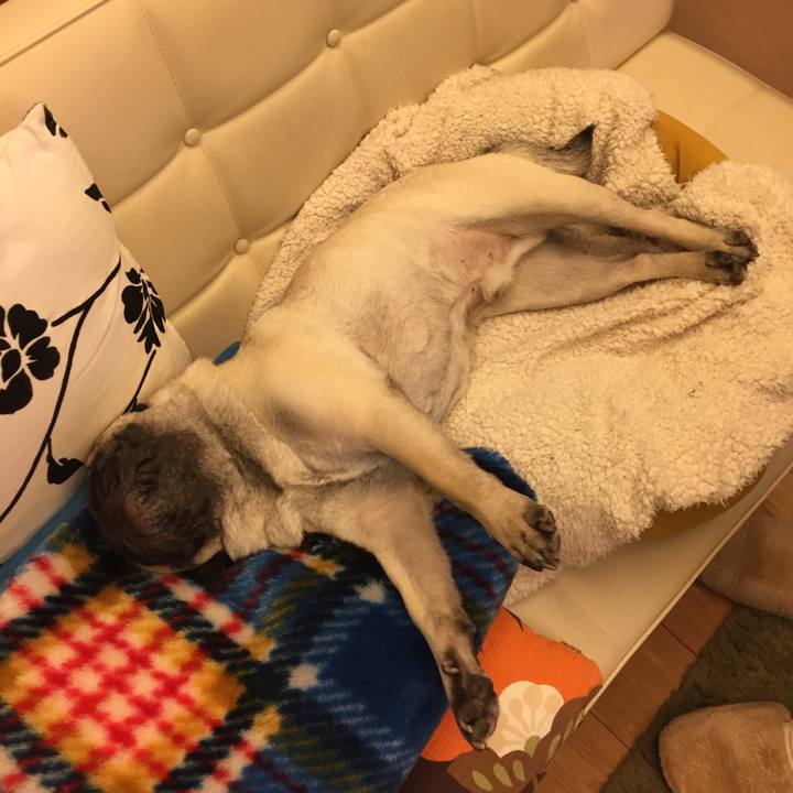 2fb85cf3 f620 4b0e 9383 1060eae3c8a1